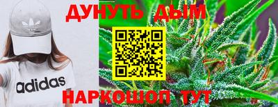 наркотики Гатчина