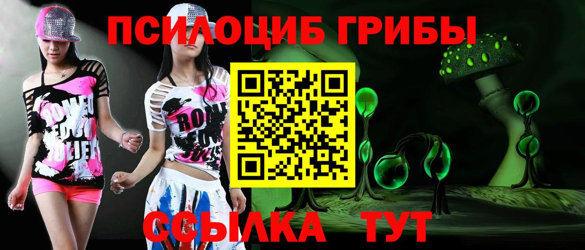 Галлюциногенные грибы Psilocybine cubensis Муром