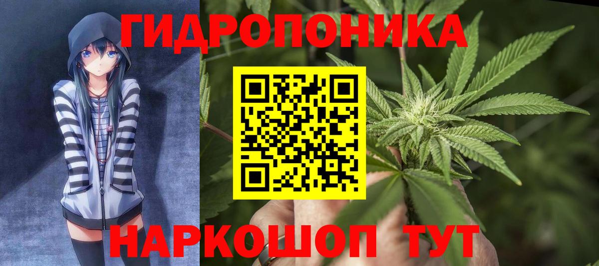 Марихуана гибрид Муром